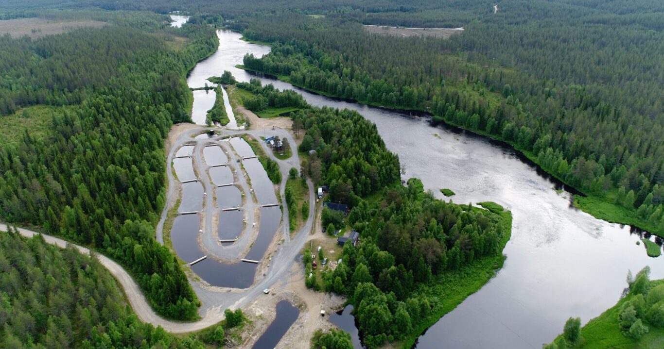 Ilmakuva kalanviljelylaitoksesta, jossa on useita altaita joen varrella ja metsien ympäröimänä